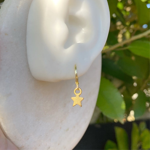 Gold Star earrings